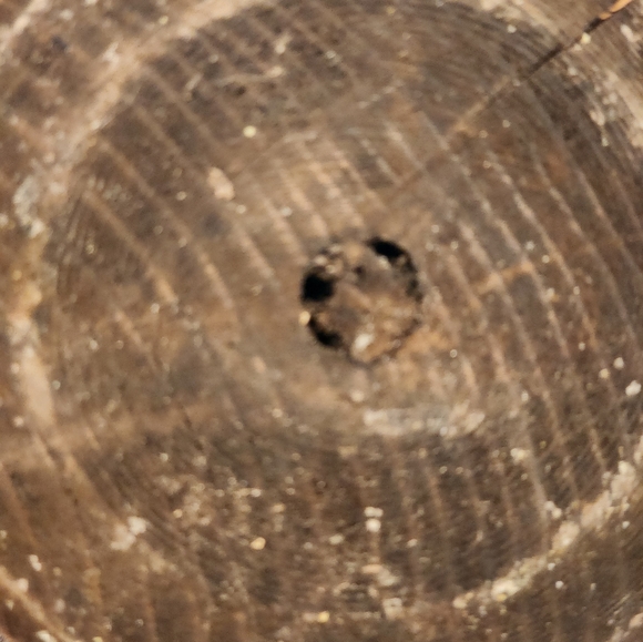 Old vintage candle holder. Untouched - Picture 5 of 5